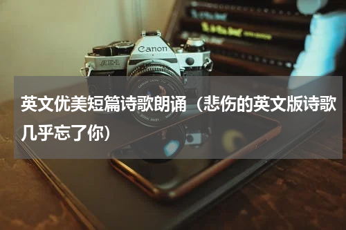 英文优美短篇诗歌朗诵（悲伤的英文版诗歌几乎忘了你）