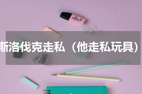 斯洛伐克走私（他走私玩具）