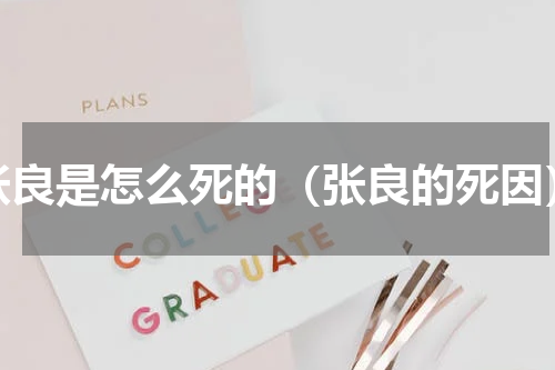 张良是怎么死的（张良的死因）