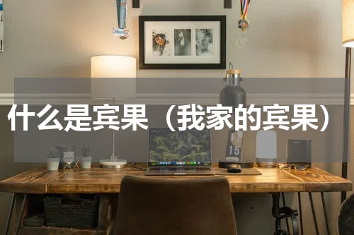 什么是宾果（我家的宾果）