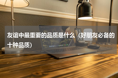 友谊中最重要的品质是什么（好朋友必备的十种品质）