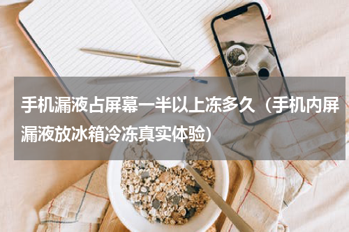 手机漏液占屏幕一半以上冻多久（手机内屏漏液放冰箱冷冻真实体验）