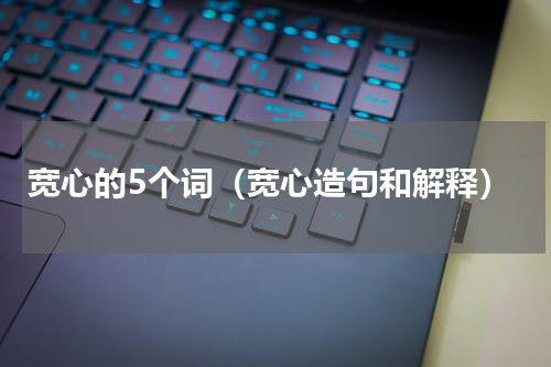 宽心的5个词（宽心造句和解释）