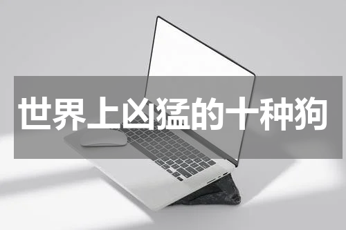 世界上凶猛的十种狗