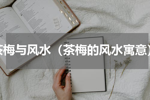 茶梅与风水（茶梅的风水寓意）