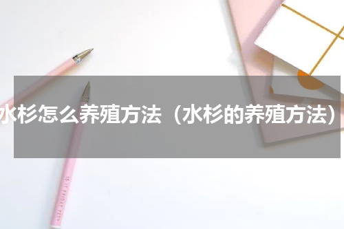 水杉怎么养殖方法（水杉的养殖方法）