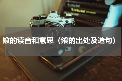 飨的读音和意思（飨的出处及造句）