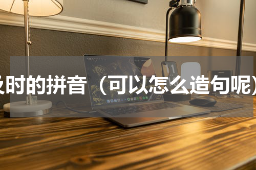 及时的拼音（可以怎么造句呢）