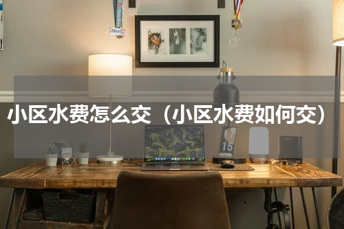小区水费怎么交（小区水费如何交）
