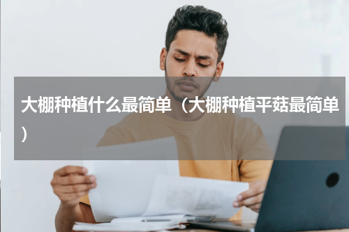 大棚种植什么最简单（大棚种植平菇最简单）