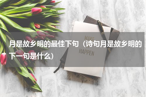 月是故乡明的最佳下句（诗句月是故乡明的下一句是什么）