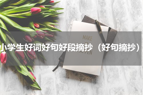 小学生好词好句好段摘抄（好句摘抄）