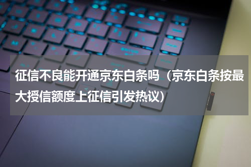 征信不良能开通京东白条吗（京东白条按最大授信额度上征信引发热议）