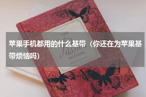 苹果手机都用的什么基带（你还在为苹果基带烦恼吗）