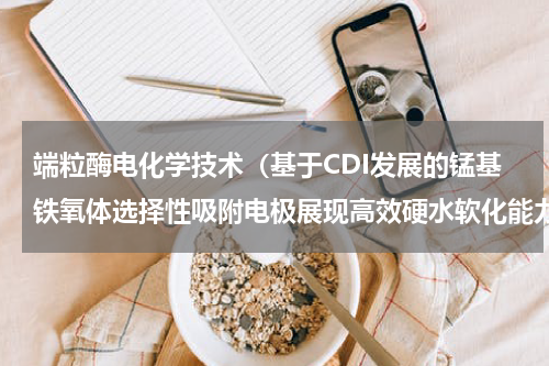 端粒酶电化学技术（基于CDI发展的锰基铁氧体选择性吸附电极展现高效硬水软化能力）