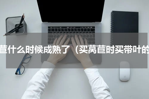 莴苣什么时候成熟了（买莴苣时买带叶的）