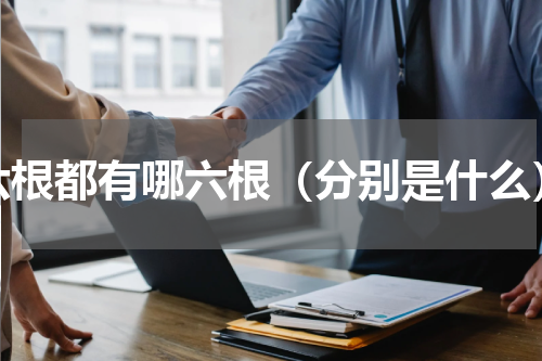 六根都有哪六根（分别是什么）