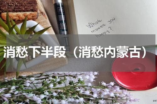 消愁下半段（消愁内蒙古）