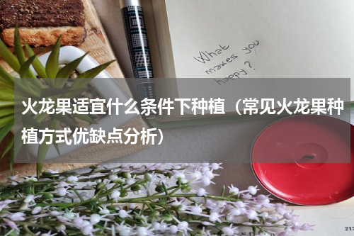 火龙果适宜什么条件下种植（常见火龙果种植方式优缺点分析）