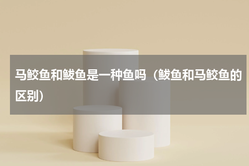 马鲛鱼和鲅鱼是一种鱼吗（鲅鱼和马鲛鱼的区别）