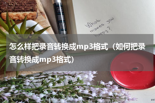 怎么样把录音转换成mp3格式（如何把录音转换成mp3格式）