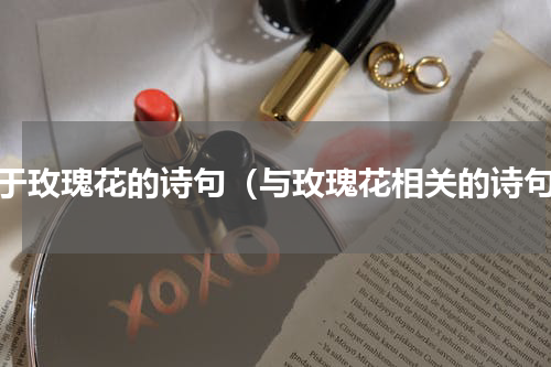 关于玫瑰花的诗句（与玫瑰花相关的诗句）