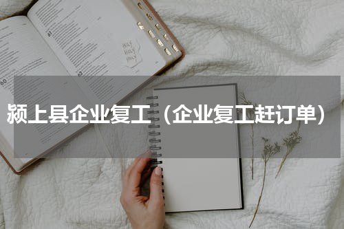 颍上县企业复工（企业复工赶订单）