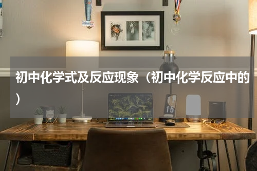 初中化学式及反应现象（初中化学反应中的）