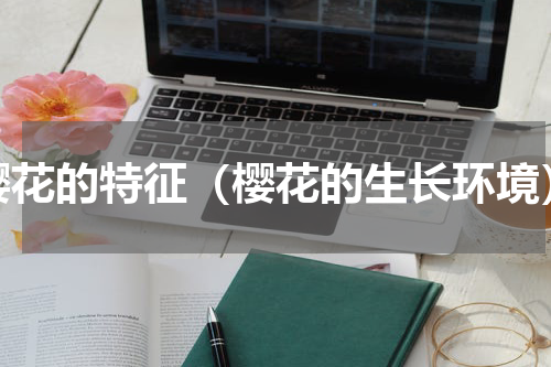 樱花的特征（樱花的生长环境）