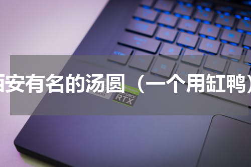 西安有名的汤圆（一个用缸鸭）