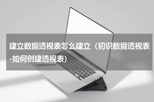 建立数据透视表怎么建立（初识数据透视表-如何创建透视表）