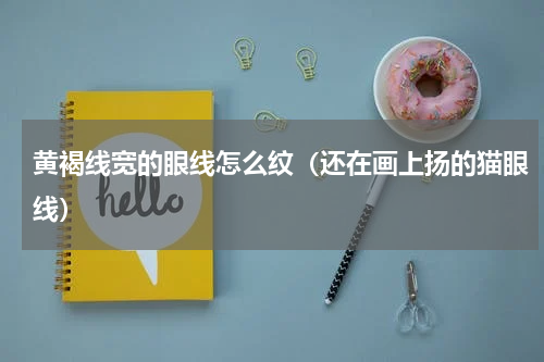 黄褐线宽的眼线怎么纹（还在画上扬的猫眼线）