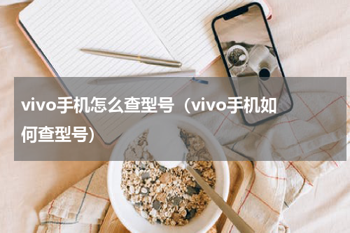 vivo手机怎么查型号（vivo手机如何查型号）