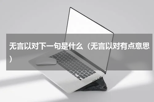 无言以对下一句是什么（无言以对有点意思）