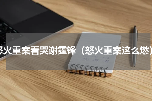 怒火重案看哭谢霆锋（怒火重案这么燃）