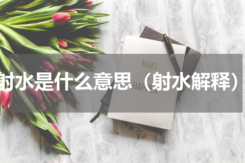 射水是什么意思（射水解释）