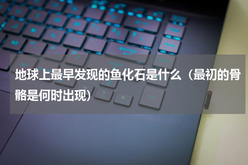 地球上最早发现的鱼化石是什么（最初的骨骼是何时出现）