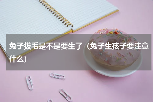 兔子拔毛是不是要生了（兔子生孩子要注意什么）