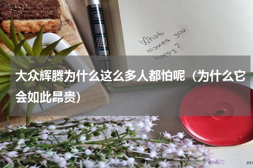 大众辉腾为什么这么多人都怕呢（为什么它会如此昂贵）