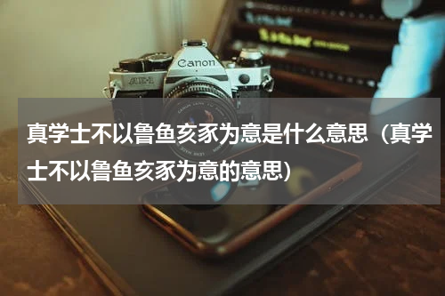 真学士不以鲁鱼亥豕为意是什么意思（真学士不以鲁鱼亥豕为意的意思）