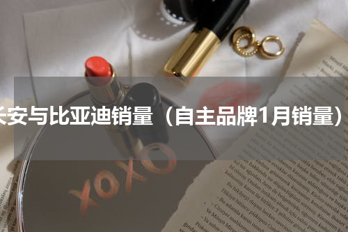 长安与比亚迪销量（自主品牌1月销量）