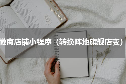 微商店铺小程序（转换阵地旗舰店变）