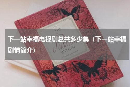 下一站幸福电视剧总共多少集（下一站幸福剧情简介）