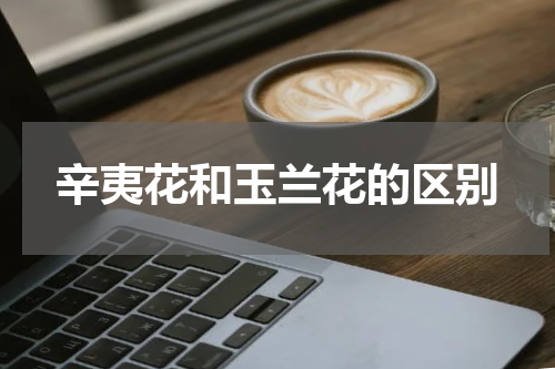 辛夷花和玉兰花的区别