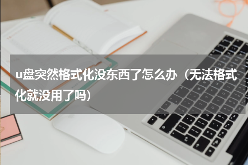 u盘突然格式化没东西了怎么办（无法格式化就没用了吗）