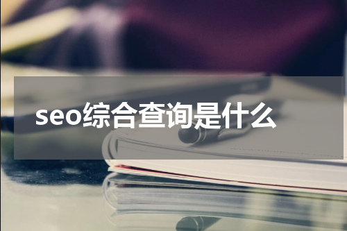 seo综合查询是什么
