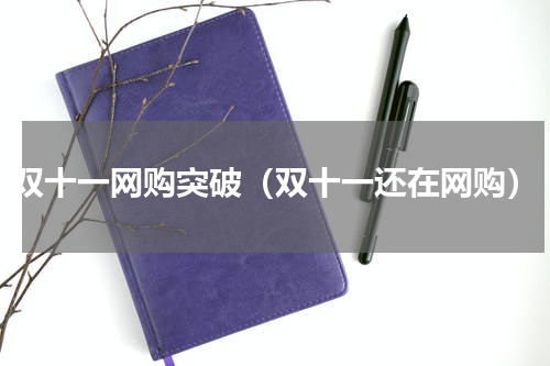 双十一网购突破（双十一还在网购）