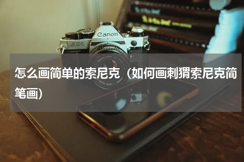 怎么画简单的索尼克（如何画刺猬索尼克简笔画）