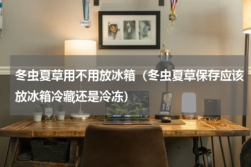 冬虫夏草用不用放冰箱（冬虫夏草保存应该放冰箱冷藏还是冷冻）