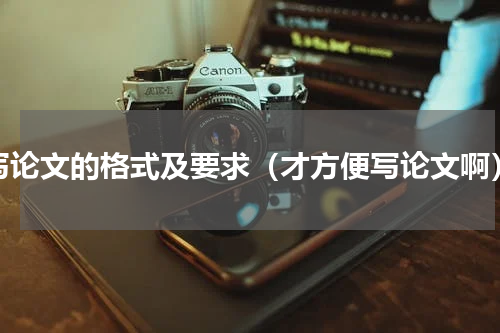 写论文的格式及要求（才方便写论文啊）